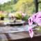 Chalets Runolist - Crni Lug