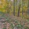 Cozy Retreat with Fire Pit Less Than 1 Mi to Mille Lacs Lake - Vineland