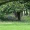 The Cabin at Barnstormers, luxury woodland setting