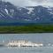 Thistle Ridge (Lower) New Waterton Lakes Area Waterfront Home