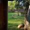 Shumba Safaris Bush Camp - Hoedspruit