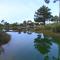 Golf, Praia, Casino, Ar Puro