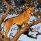 Sungulwane Private Game Lodge - Hluhluwe