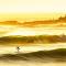 THE HORIZON