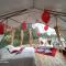 Skyline Glamping Guasca - 瓜斯卡