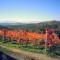 Weingut Reiterer