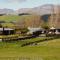 Shearvue Farmstay with Optional Free Farm Experience at 5pm - Fairlie