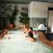 Chalet Sonnenhof