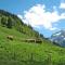 Chalet Waltl by Interhome - 大格洛克纳山道旁富施