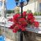 Solaris Apartment Kassiopi - 卡西奥皮