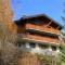 Chalet Falaises by Interhome - Ovronnaz