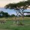 Muluwa Lodge - White River