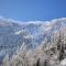 Chalet Glockner-1 by Interhome