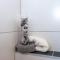Apartment Wildbachl by Interhome