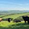 Polrunny Farm Seaberry Cottage with a sea view and log burner