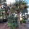 Spacious, cozy villa w/parking in Coligny Villas - 希尔顿黑德岛