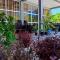 Himandhoo Travel & Stays - أليفو أتول