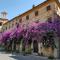 ATTICO SULLA BOUGANVILLE (Albergo diffuso) - Corinaldo