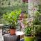 Amanites Guesthouse