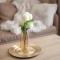 Nivalis Residence A11