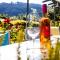Sportpension Bergblick