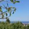 Hotel la Maggioressa