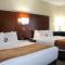 Comfort Inn & Suites Fultondale Gardendale I-65 - Fultondale