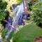 Guest House Waterfall - Eptalofos