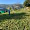 Golden valley cottages, Chail - Chail