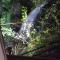 Guest House Waterfall - Eptalofos