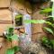 MEKONG SILT ECOLODGE