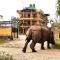 Hotel National Park Sauraha- Homely Stay and Peaceful Location with Jungle Safari arrangements - Sauraha