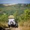 al Merlo Olivo, rural istrian house