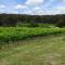 Just Red Wines Cabins - Ballandean