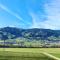 Apart Pankrazblick