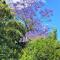 Swellendam Country Lodge - Guest House - B&B - Swellendam