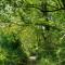 Cusgarne Manor boutique B&B - adults only - Cusgarne