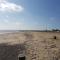 Sanderlings - Suffolk Coastal Escapes