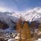 Chalet Ideal Saas-Fee