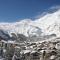 Chalet Ideal Saas-Fee