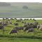 La Vista Farm Stay