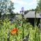 Charming 6 bedroom House & Horse Farm - Sleeps 12