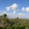 Haneen Field View - ‘Izbat an Nāmūs