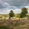 Swinton Bivouac