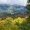 Near Ski Areas Mtn-View Banner Elk Cabin - بانير إلك