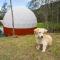 Glamping Reserva del Dorado