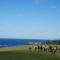 Coast Norfolk Island - Burnt Pine