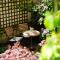 Boutique Hotel Splendid