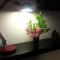 LAtelier B&B - Esprit bohème, la nature en ville