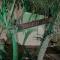 Serene mountain views Spacious garden and sole use of the 10x5m pool - فورتونا